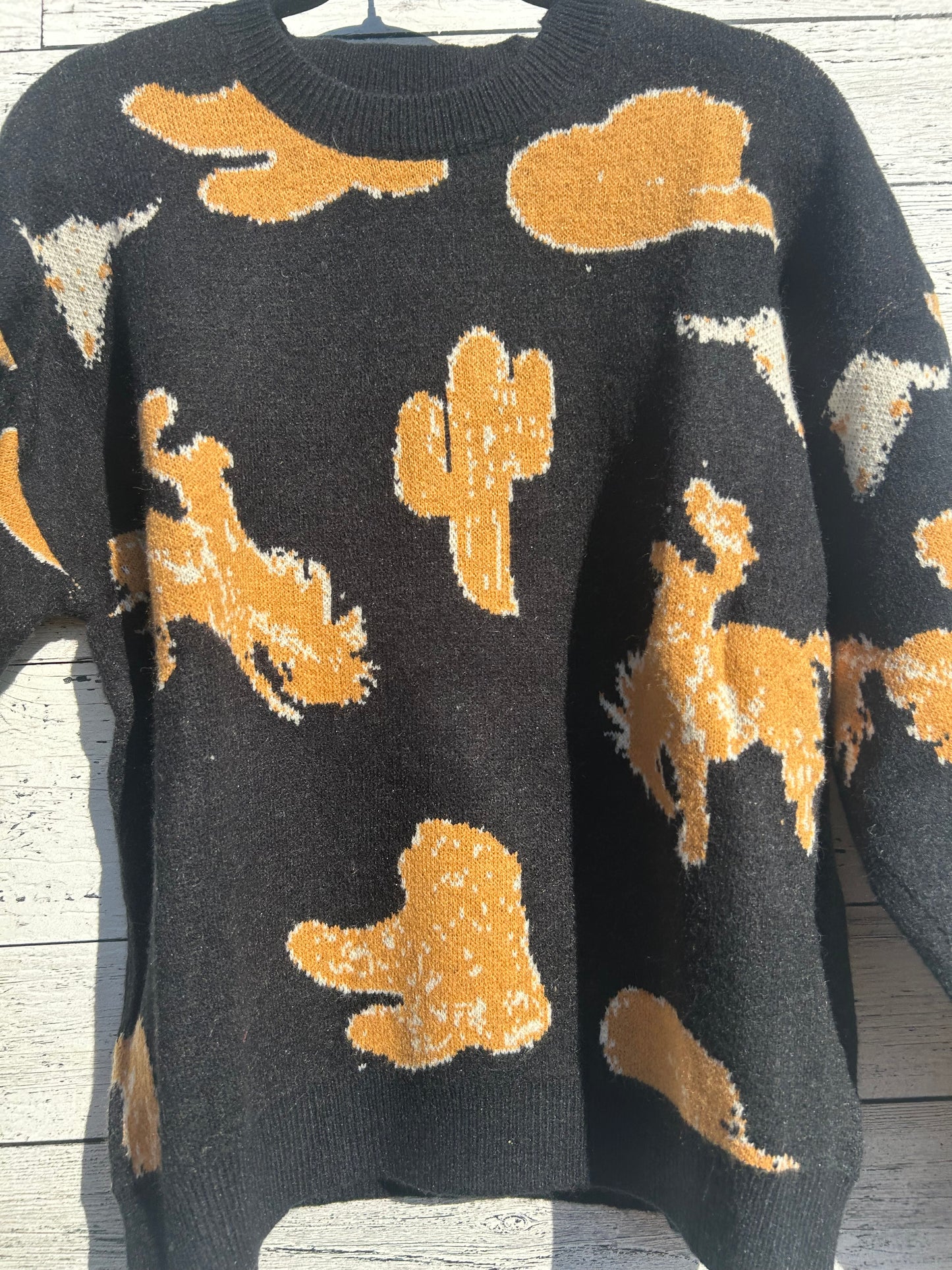 Western Print Sweater