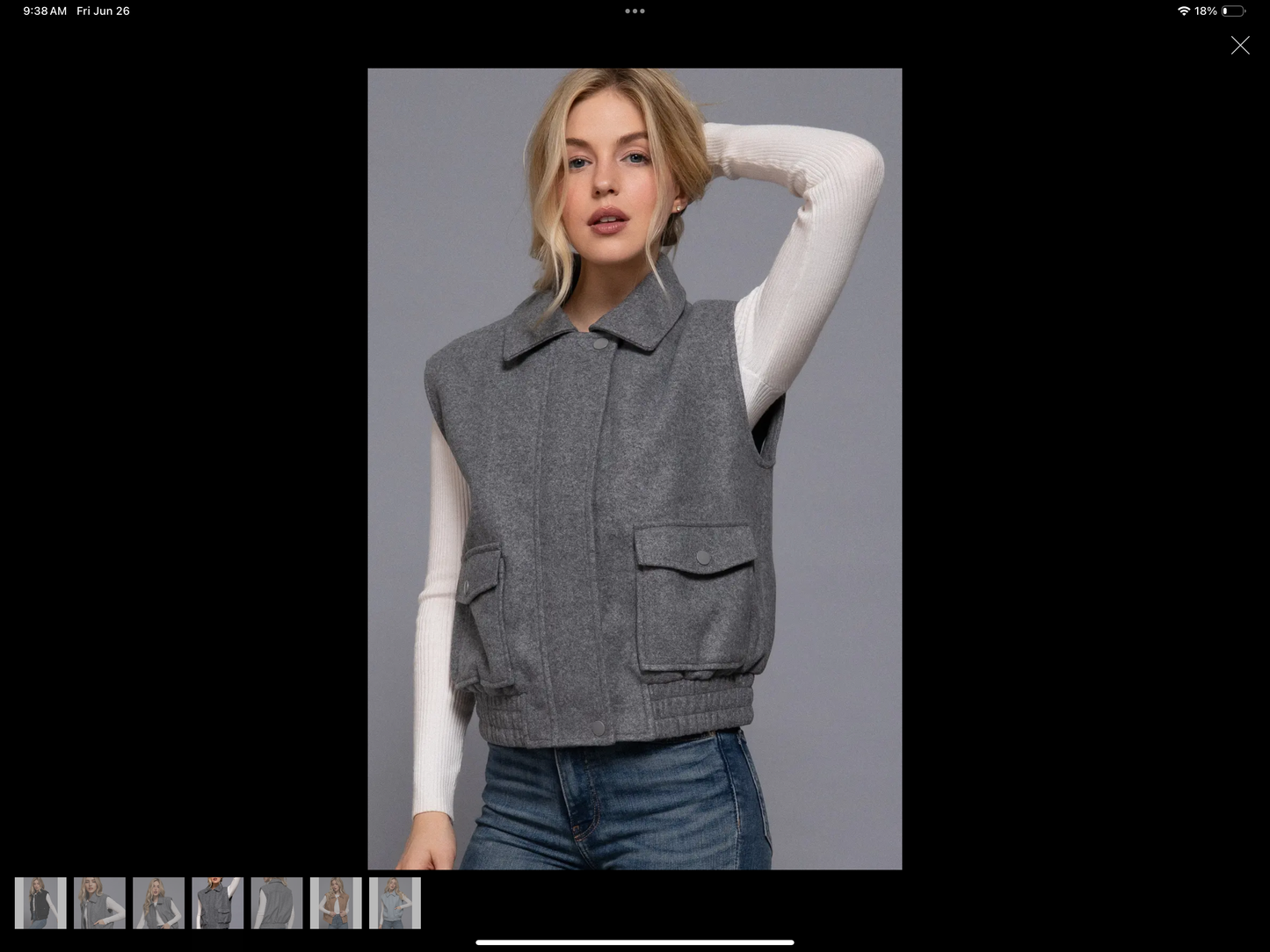 Back country vests