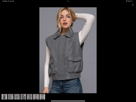 Back country vests