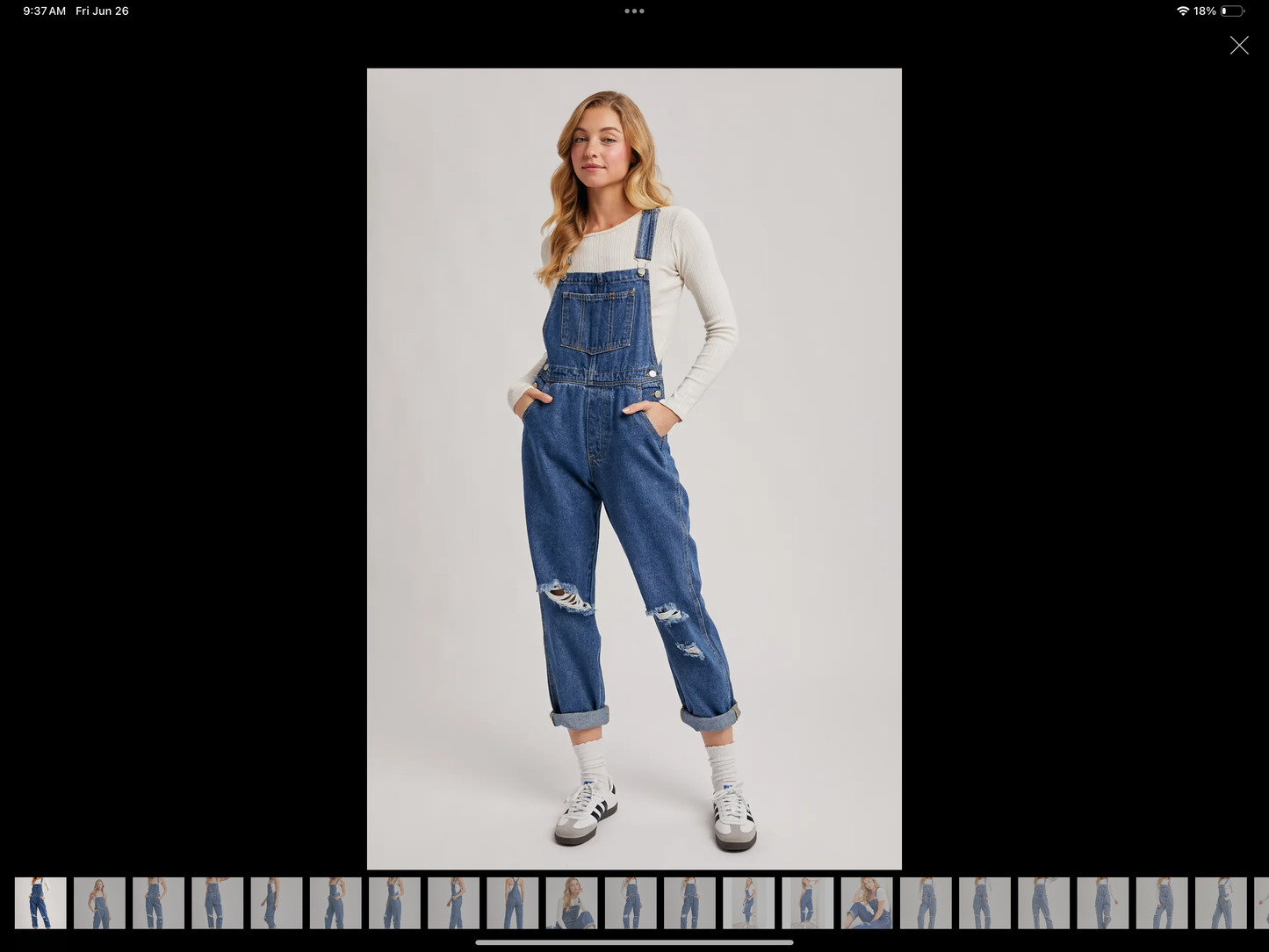Denim Overalls
