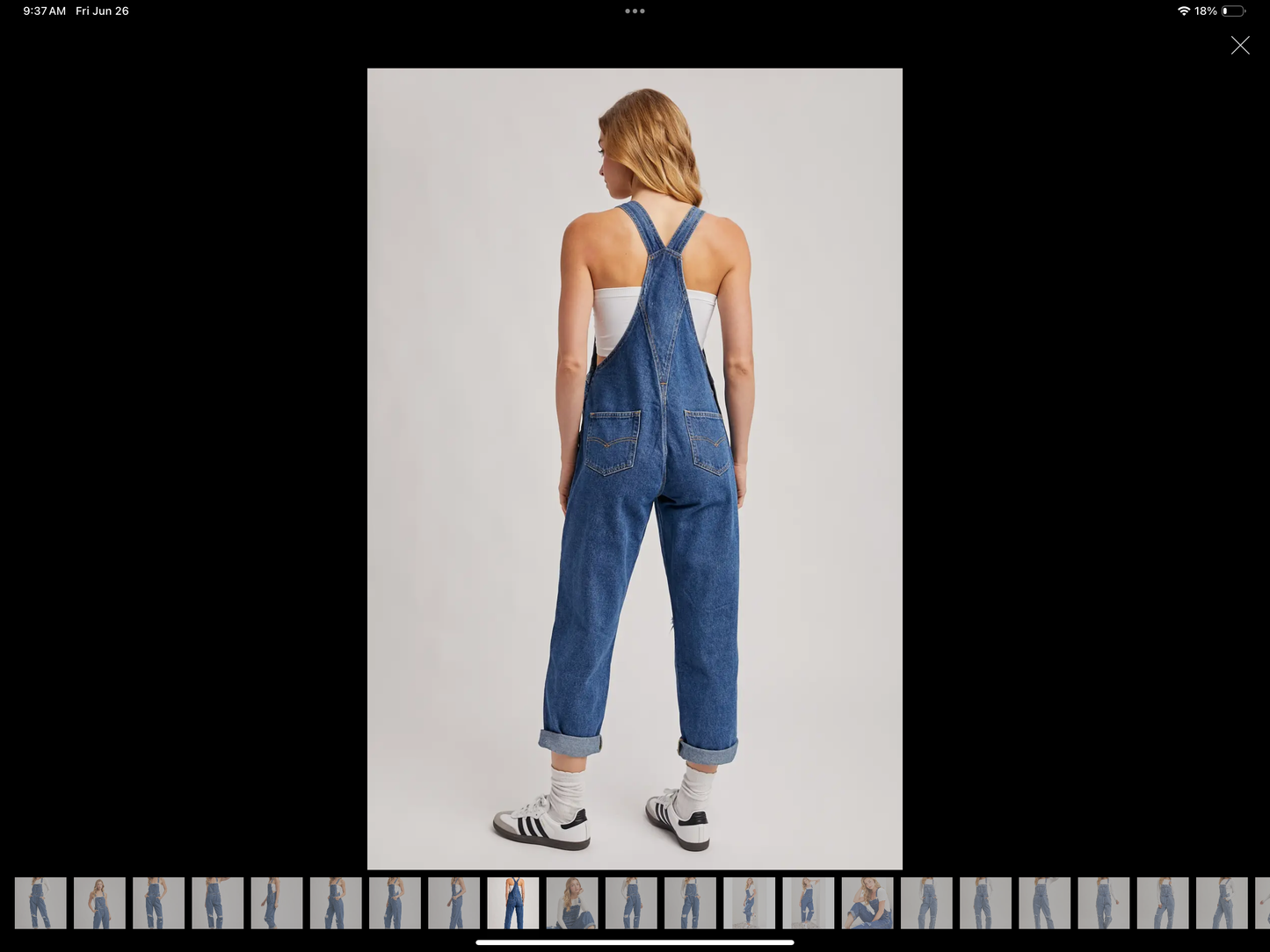 Denim Overalls
